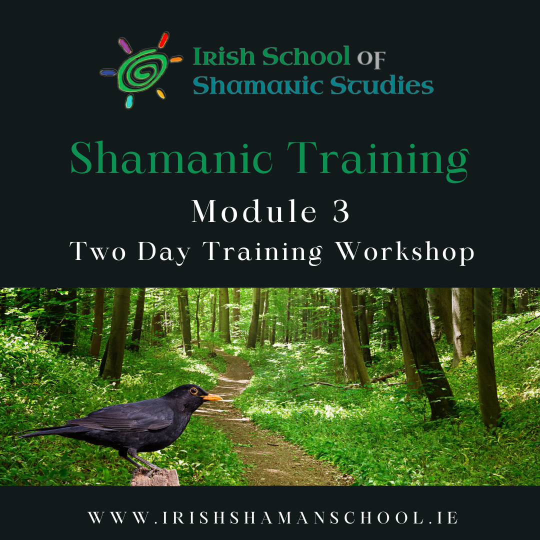 Module 3